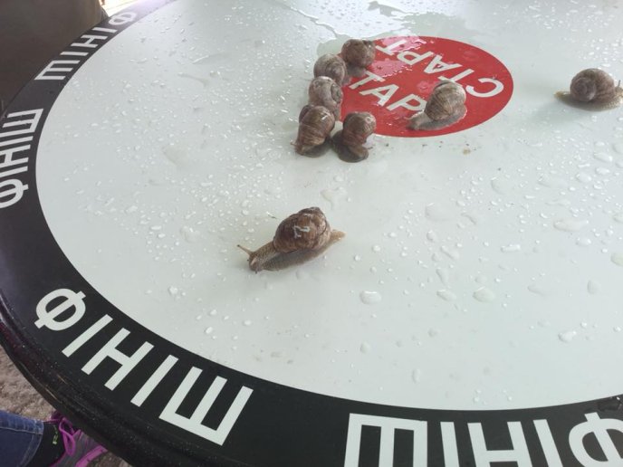 На Перечинщині відбулись незвичні перегони – 10