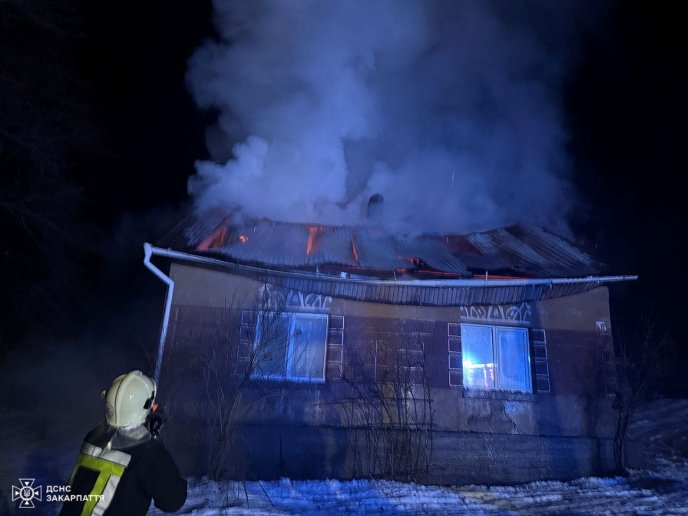 Вогонь знищив дах будинку / фото: ДСНС Закарпаття