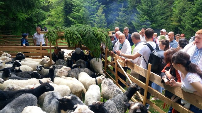 Москаль дав закарпатцям обіцянку – 01