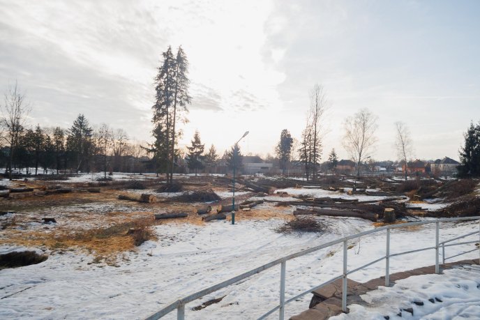 Мукачівці шоковані вирубкою парку "Перемоги" у місті (ФОТО) – 02