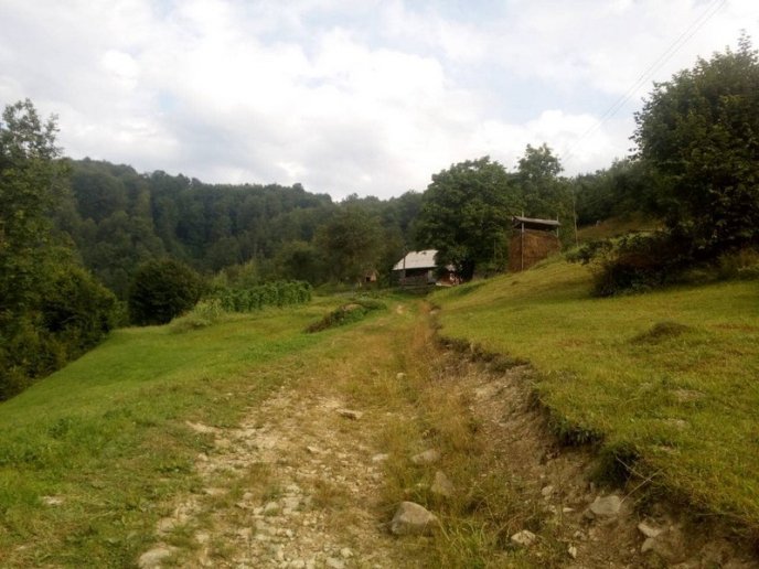 Дивовижний порятунок: у лісі знайшли 90-річного дідуся, який 4 дні блукав горами – 04