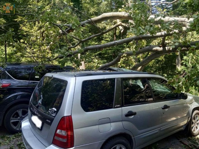 Subaru, Ford, Lexus і Tesla: що сталось поблизу одного з готелів у селі Карпати  – 05