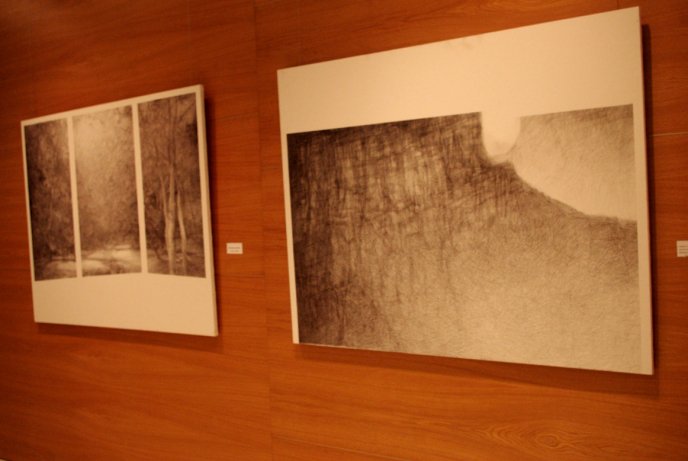 В Ужгороді відкрилась виставка малюнків, які виконані кульковою ручкою (ФОТО) – 10