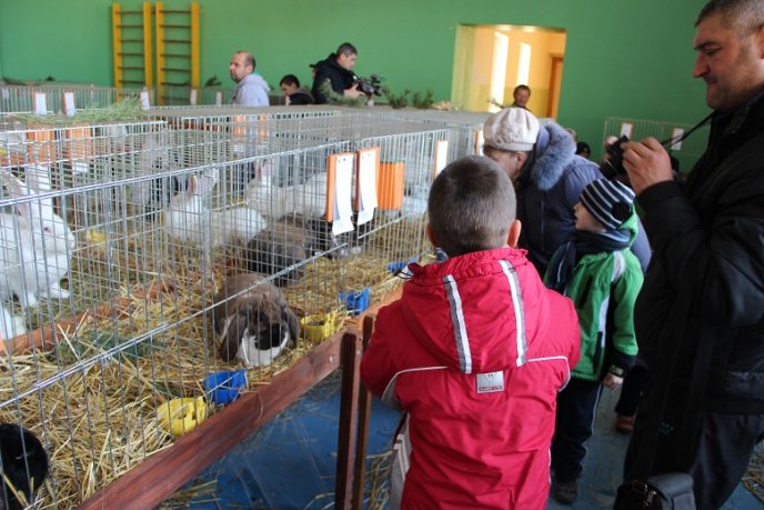 Найкрасивіших кролів показали ужгородцям (ФОТО) – 04