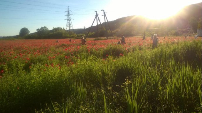 Біля Ужгорода є місце, на якому всі хочуть сфотографуватися – 03
