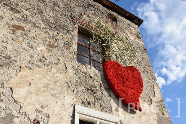 У Чинадієві відбувся фестиваль квітів "Кохання в Сент-Міклоші" – 67