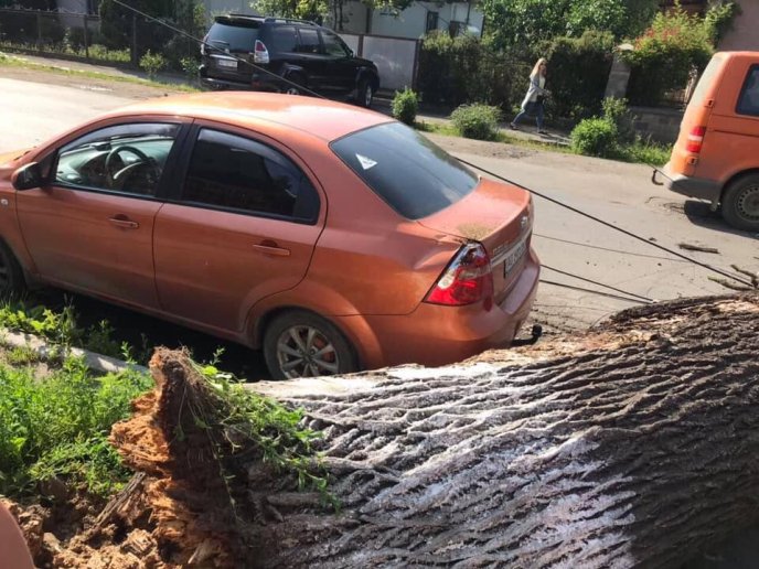 У Сваляві дерево впало на автівку – 02 У Сваляві дерево впало на автівку – 02
