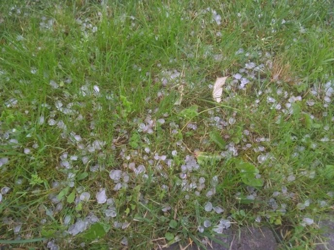 Хустщину засипало градом – 01