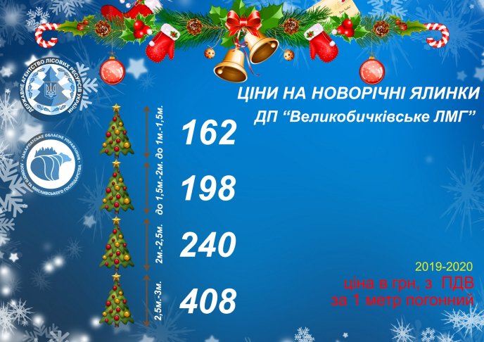 Скільки коштує новорічна ялинка на Закарпатті: оприлюднено ціни у лісгоспах краю – 02