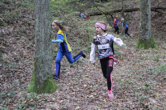 Мукачівці феєрично виступили на змаганнях зі спортивного орієнтування – 02 Мукачівці феєрично виступили на змаганнях зі спортивного орієнтування – 02