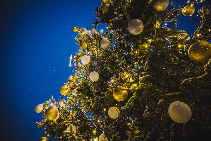 Неймовірна краса: у мережі опубліковано ранкові фото засніженого Ужгорода – 09