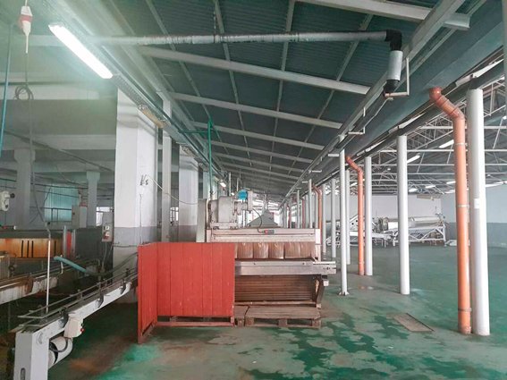 На Закарпатті поліція викрила корупційну схему на мільйони доларів: місцеве підприємство вивело гроші в офшори – 04