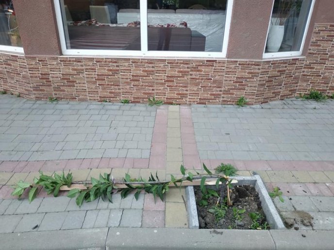 У Хусті невідомі вчинили акт вандалізму – 04