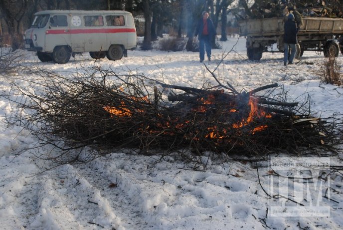 У Комсомольському парку Мукачева вирубують дерева (ФОТО) – 03