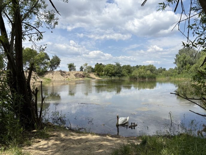 «Чорне озеро» все: місцеві в Ужгороді кажуть про пересихання водойми – 01