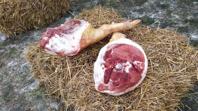 На Берегівщині стартував традиційний фестиваль різників – 30