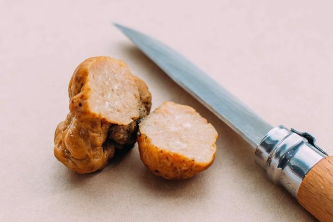 На Перечинщині знайшли гриба, який коштує кілька тисяч доларів – 04