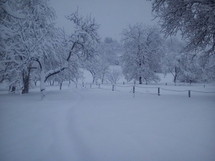 Казкова зима у селі Брестів на Мукачівщині: неймовірні фото – 03