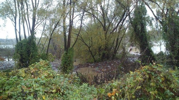 В Ужгороді вода частково підтопила Боздоський парк – 03