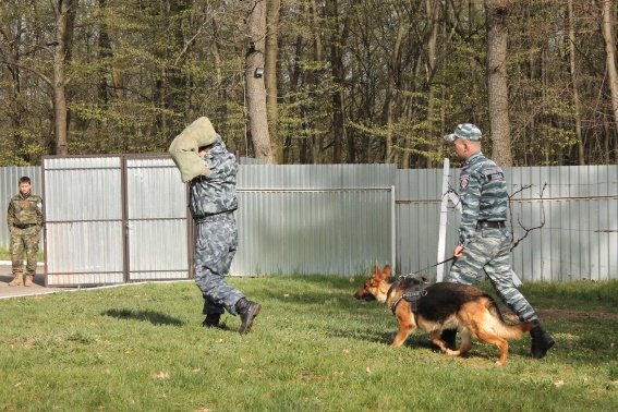 Вихованці Перечинської школи-інтернат відвідали кінологічний центр – 05