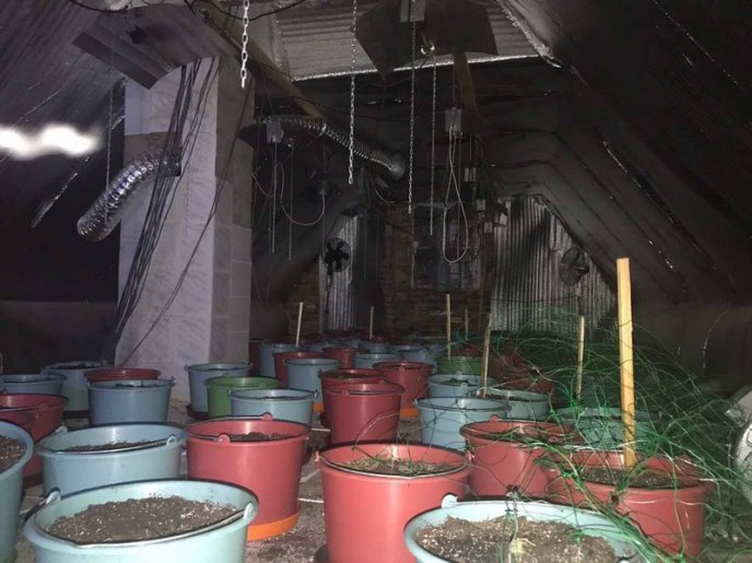 Обшуки у Виноградівському відділенні поліції тривають. Затримано правоохоронця, який "прикривав" наркобізнес – 07 Обшуки у Виноградівському відділенні поліції тривають. Затримано правоохоронця, який "прикривав" наркобізнес – 07