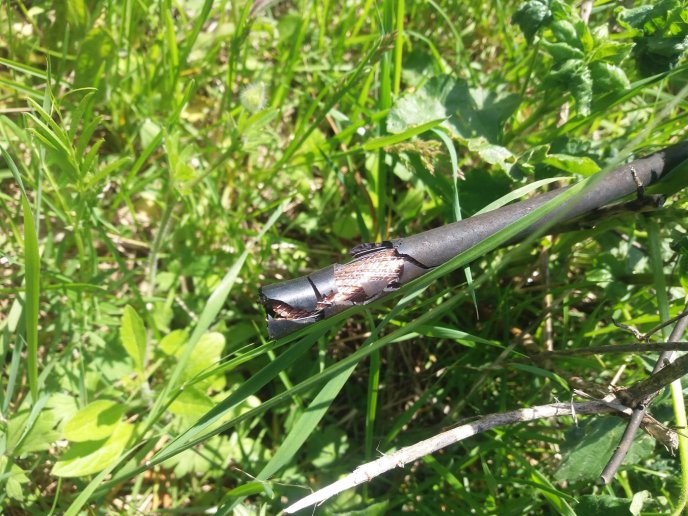 Поліція Великоберезнянщини затримала серійних зловмисників, які підозрюються в десяти крадіжках телефонних кабелів – 01