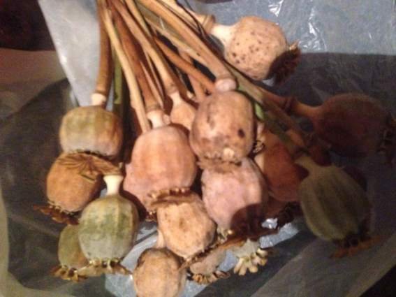 У жителя Іршавщини поліцейські знайшли патрони і детонатори – 02