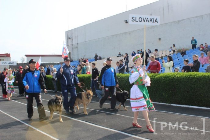 Збірна Франції перемогла на чемпіонаті світу зі слідової роботи службових собак – 39