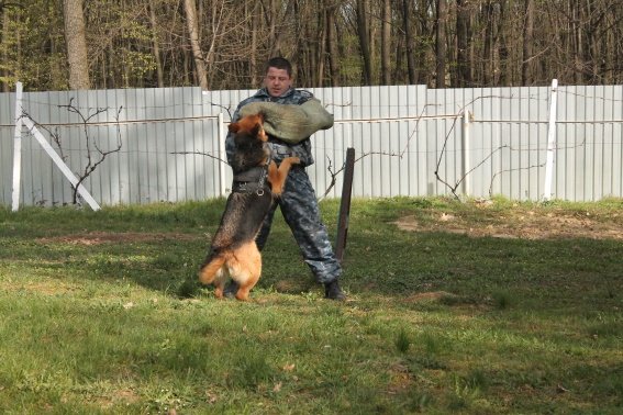 Вихованці Перечинської школи-інтернат відвідали кінологічний центр – 04