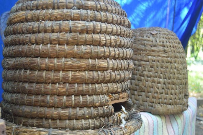 Мед в усіх його варіаціях: в Ужгороді офіційно відкрили ярмарок "Медовий спас" – 16