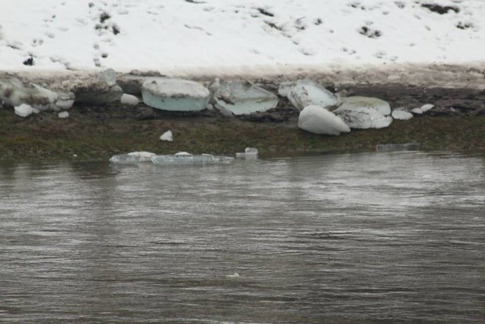 За добу рівень води в Латориці в межах Мукачева впав майже на метр – 03