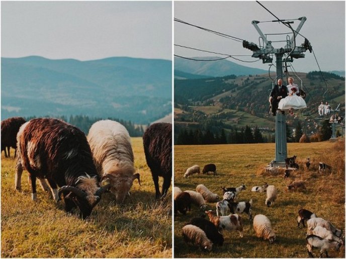 Неймовірне весілля пари з Росії у Карпатах (ФОТО) – 11