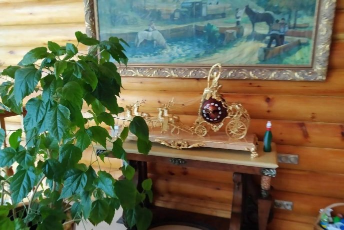 Обшуки маєтку родини Віктора Медведчука на Закарпатті: опубліковано ексклюзивні кадри – 21