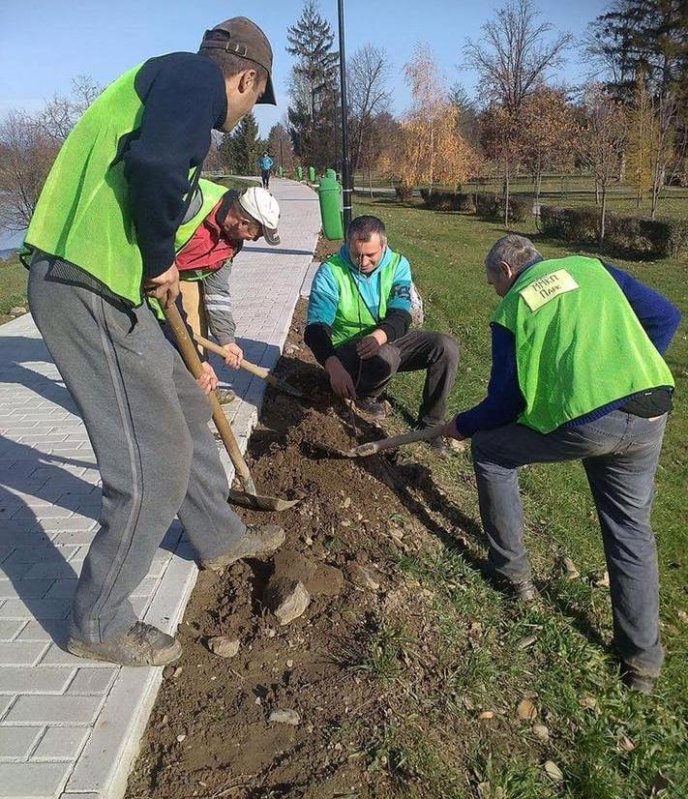 На набережній біля парку "Перемога" мукачівські комунальники висадили алею сакур – 01