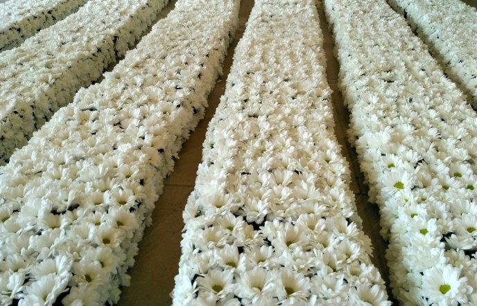 В Ужгороді почали працювати над масштабною квітковою композицією – 03