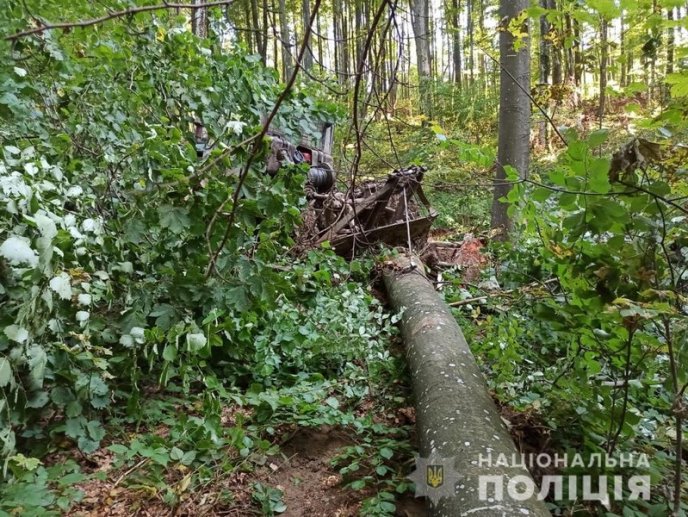 Поблизу Сваляви викрили "чорних лісорубів" – 05