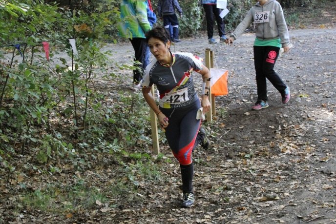 Тривають міжнародні змагання "Кубок Дружби - 2013": 700 представників із 10 європейських країн та 24 регіонів держави (ФОТО) – 04