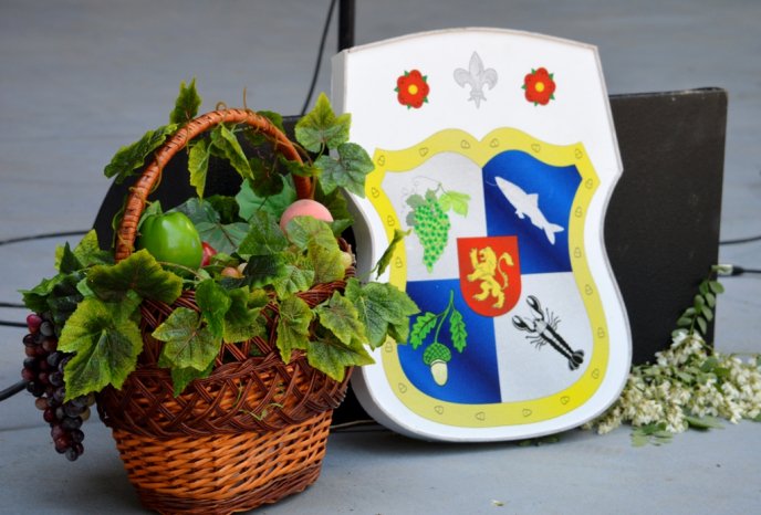 У виноградівському парку Перен відбувся винний фестиваль «Угочанська лоза» – 15