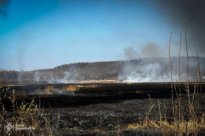 Майже 60 людей гасили масштабну пожежу на Закарпатті – 05