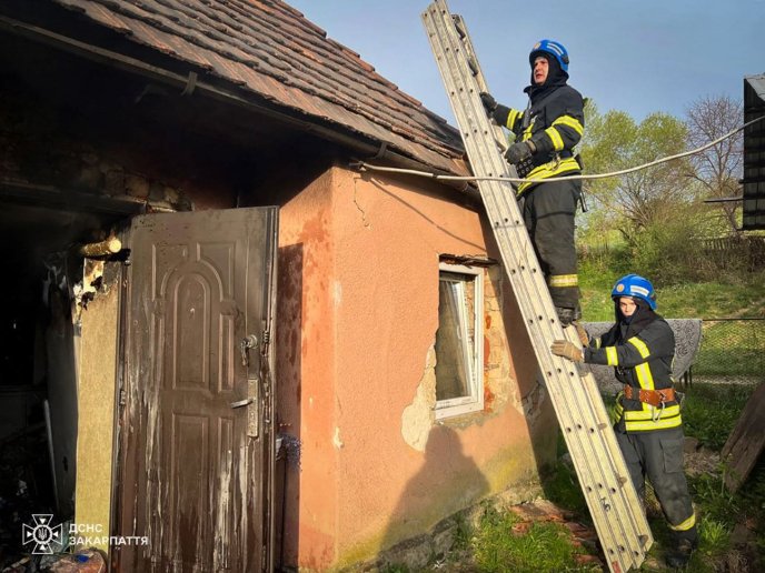 Під час пожежі вдалося уникнути жертв / фото: ДСНС Закарпаття