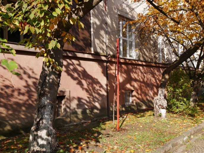 Цього місяця в Ужгороді висадять 250 дерев – 08