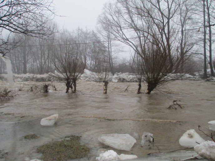 На Закарпатті внаслідок негоди підтопленими залишаються 525 дворогосподарств – 04