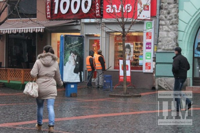 У Мукачеві комунальники досі "ганяються" за бездомними собаками (ФОТОФАКТ) – 03