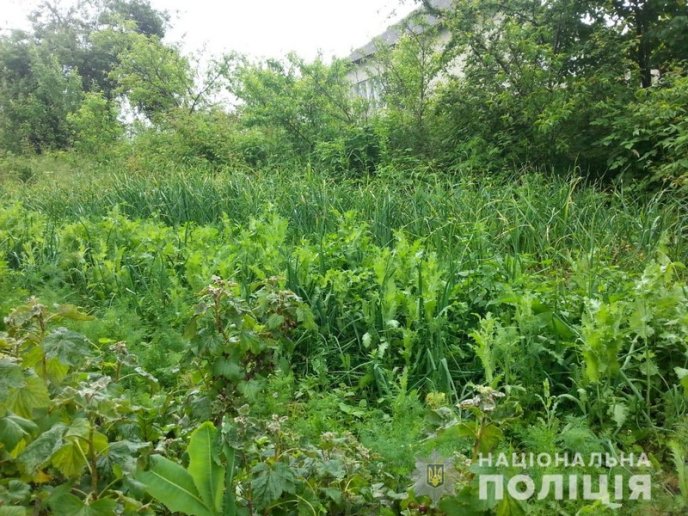 На Перечинщині поліцейський навідався до жінки додому – 01 На Перечинщині поліцейський навідався до жінки додому – 01