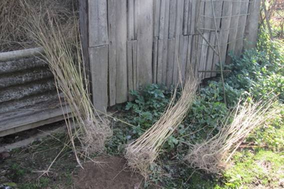 У закарпатця знайшли майже 5 кг наркотиків – 03