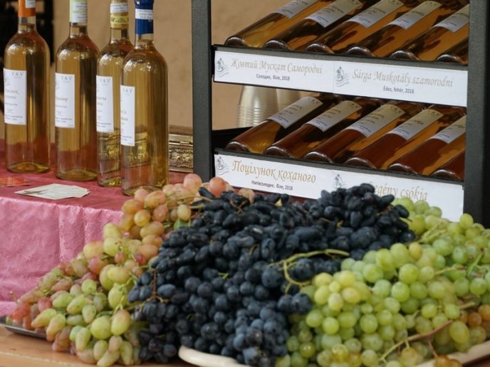 Сьогодні в Ужгороді стартувало масштабне свято – 09