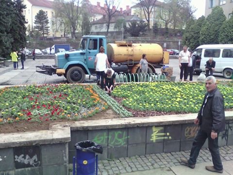 В Ужгороді висадили квітковий Герб міста – 01