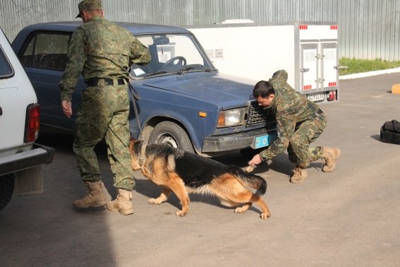 Вихованці Перечинської школи-інтернат відвідали кінологічний центр – 02