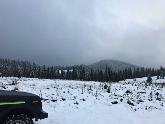 Синевир замело снігом, — соцмережі – 03