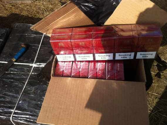 Закарпатець тримав у своєму помешканні цілий арсенал зброї – 03